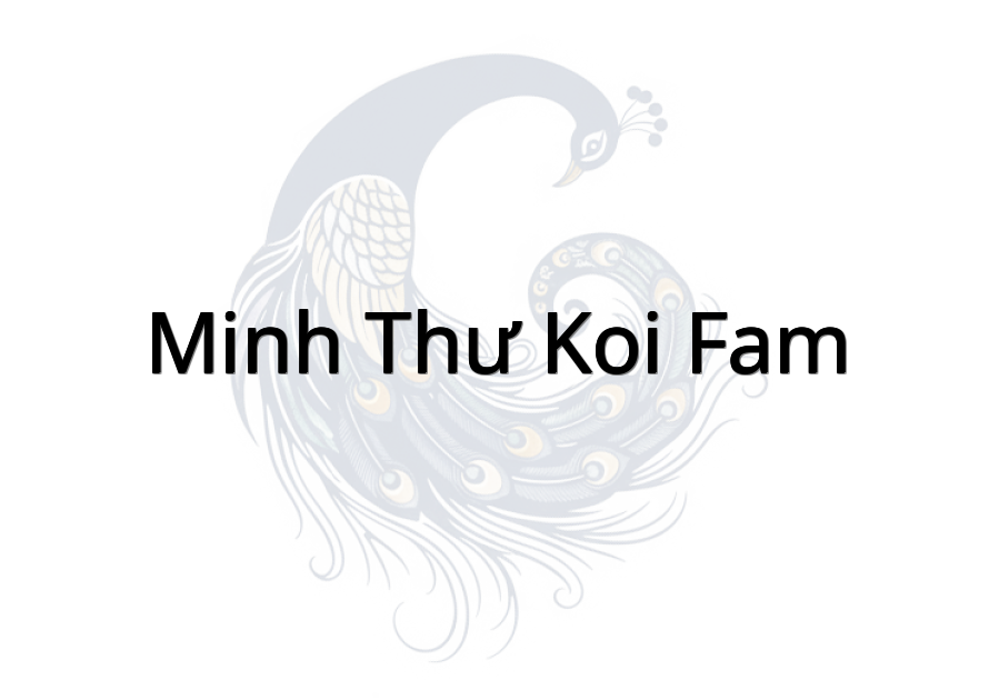 Minh Thư Koi Fam