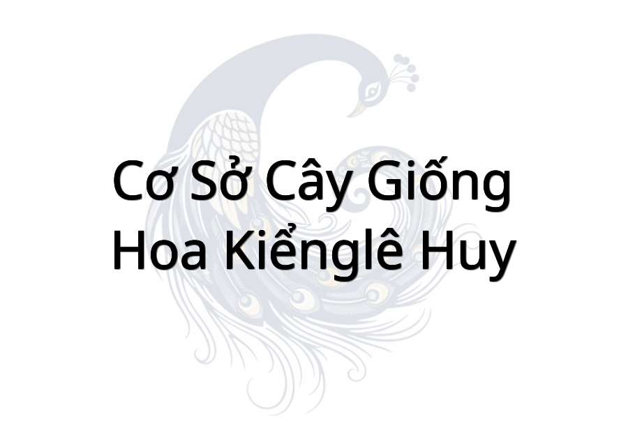 Cơ Sở Cây Giống-Hoa Kiểng(Lê Huy)