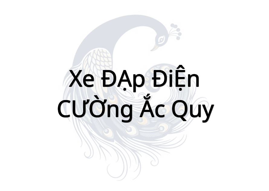 XE ĐẠP ĐIỆN CƯỜNG ẮC QUY