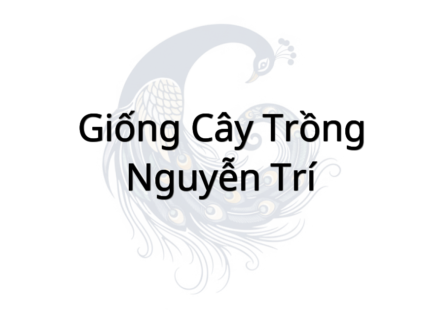 Giống Cây Trồng Nguyễn Trí