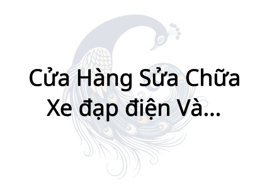 Cửa hàng sửa chữa xe đạp điện và đồ dùng điện
