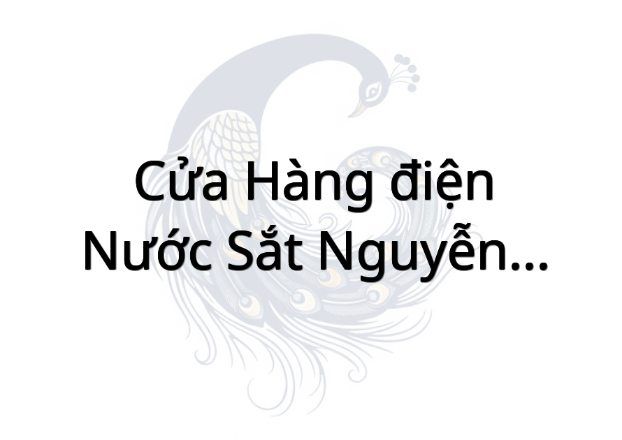Cửa hàng điện nước sắt Nguyễn Nguyên