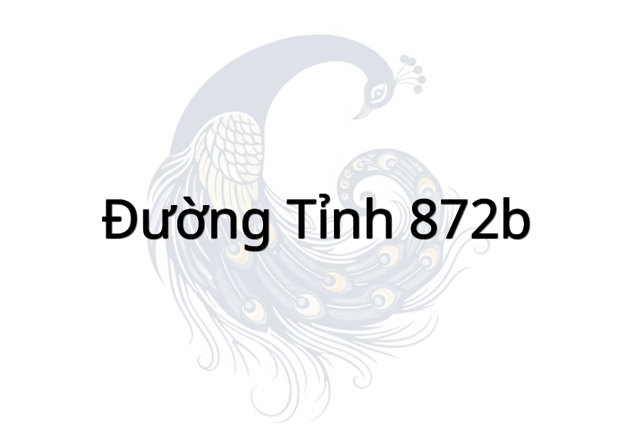 Đường tỉnh 872B