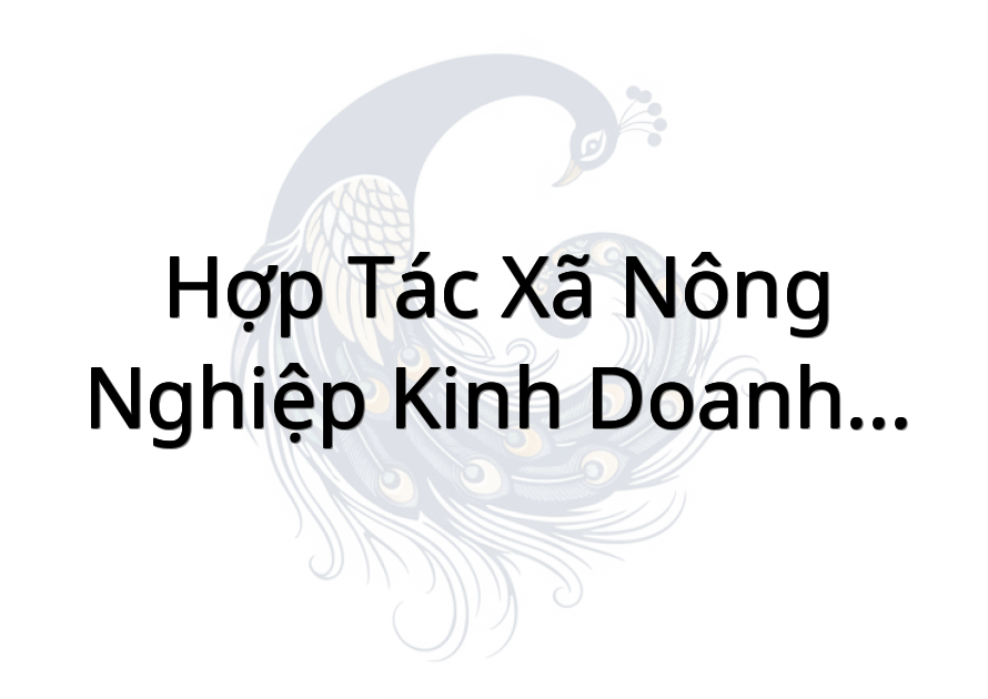 Hợp Tác Xã Nông Nghiệp Kinh Doanh Tổng Hợp Bình Tây