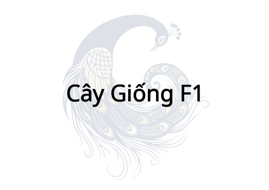 Cây Giống F1