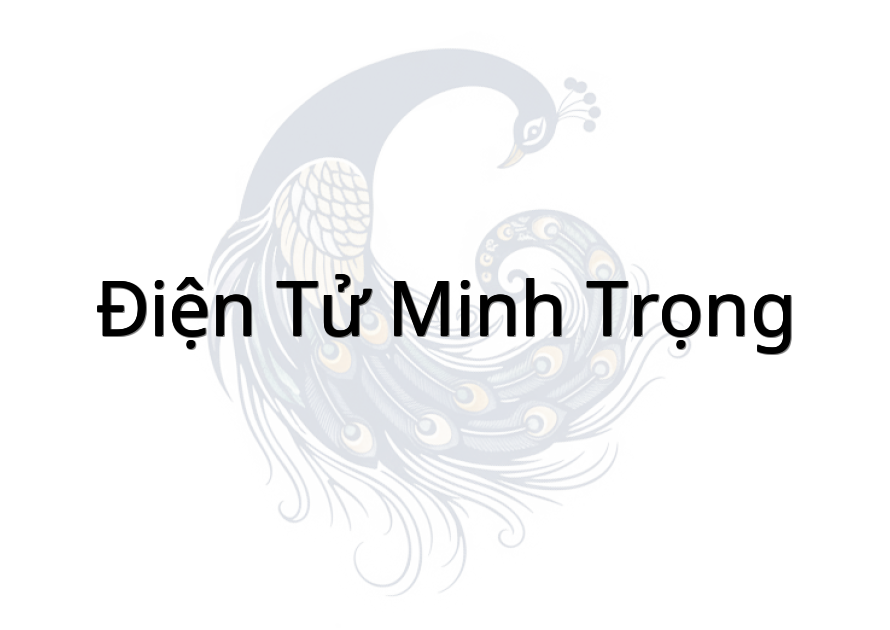 Điện Tử Minh Trọng