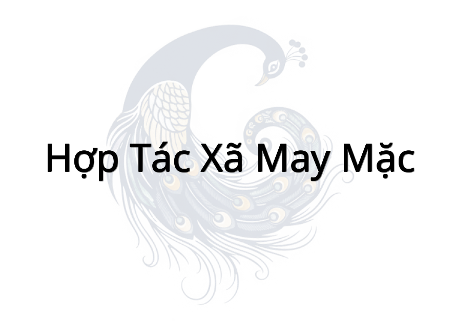 hợp tác xã may mặc