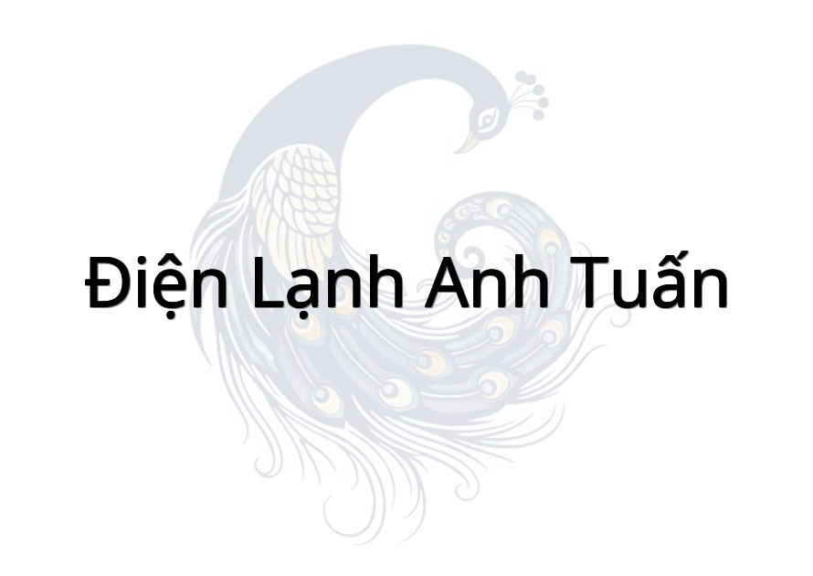 Điện Lạnh Anh Tuấn