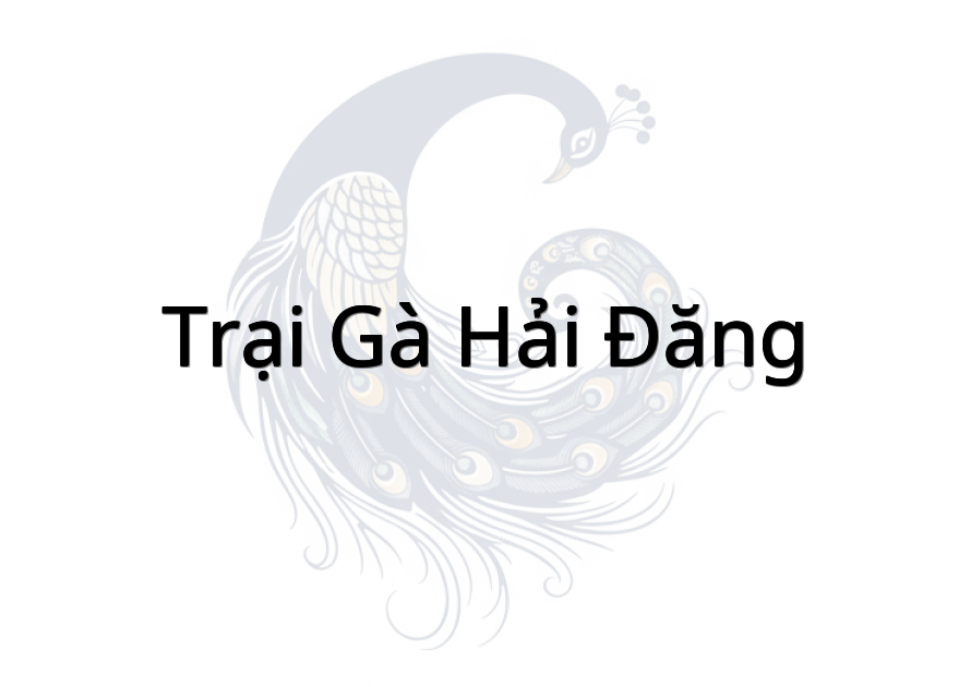 Trại Gà Hải Đăng