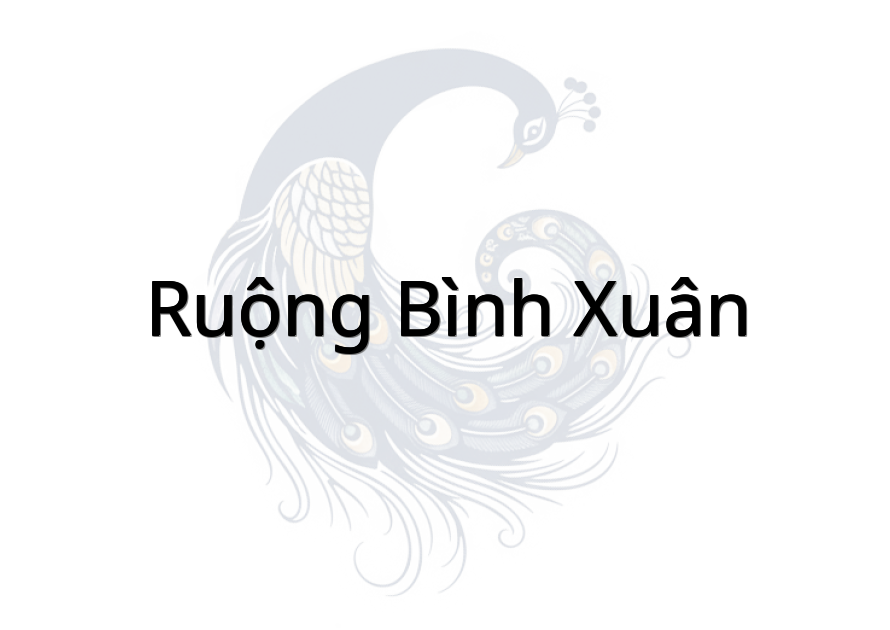 Ruộng Bình Xuân
