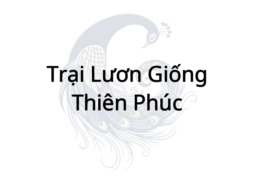 Trại lươn giống thiên phúc