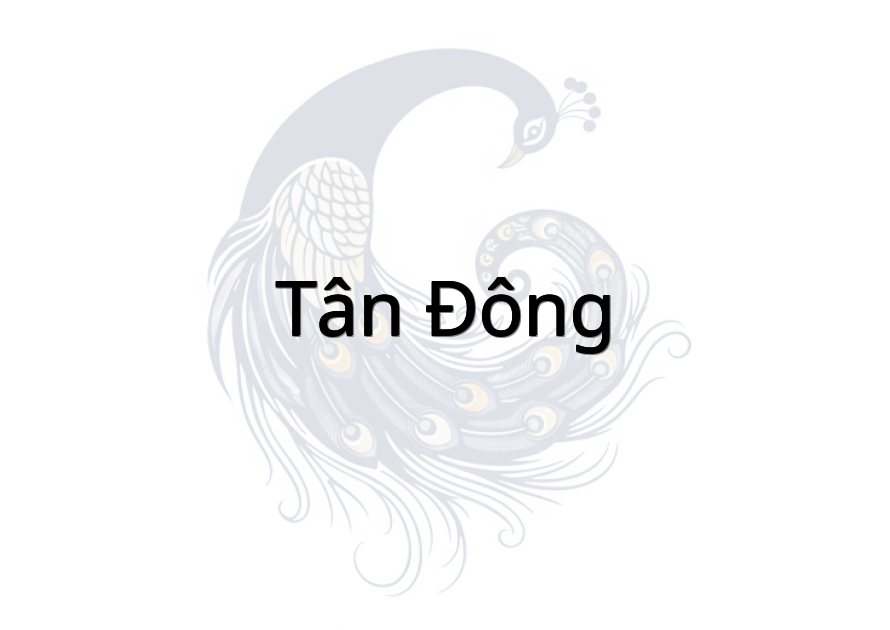 Tân Đông