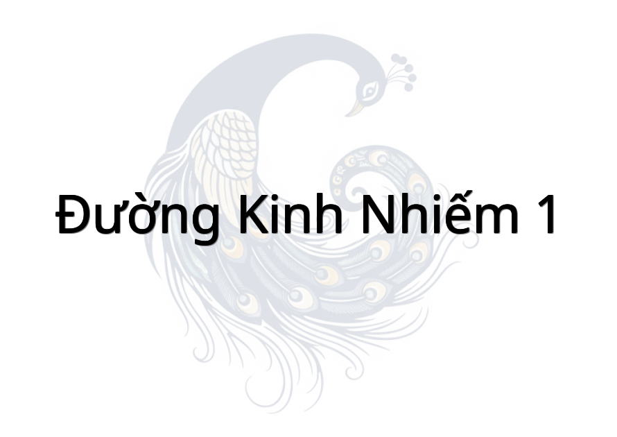 Đường Kinh nhiếm 1