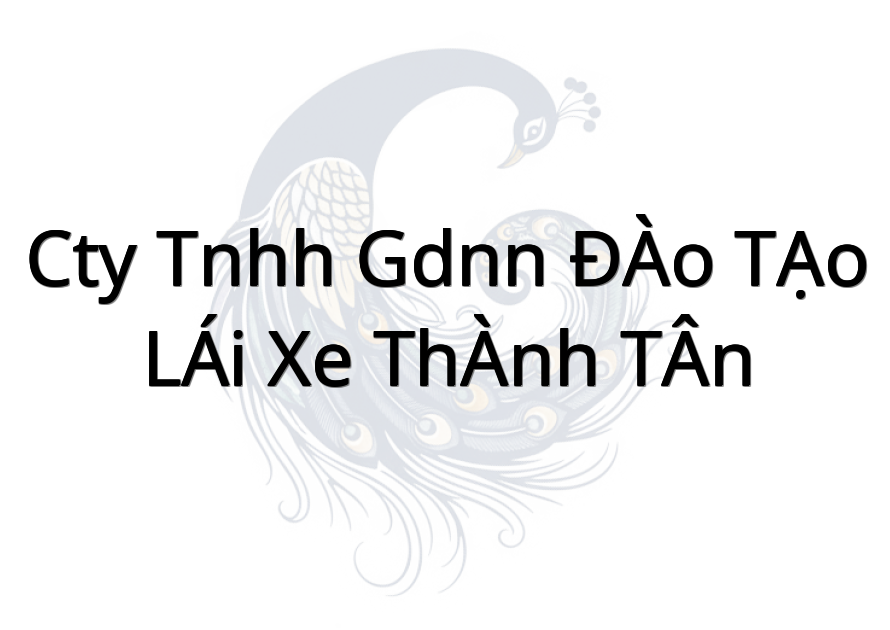 CTY TNHH GDNN ĐÀO TẠO LÁI XE THÀNH TÂN