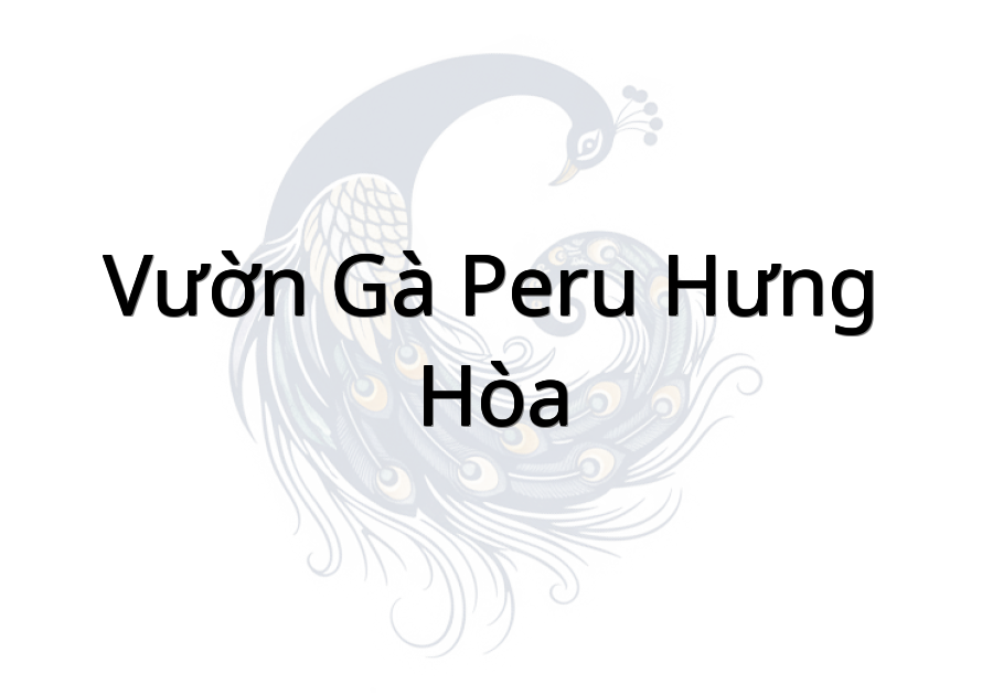 Vườn gà Peru Hưng Hòa