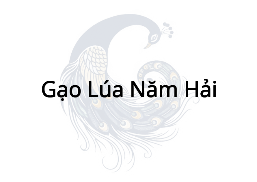 Gạo Lúa Năm Hải