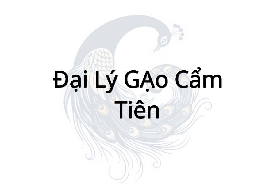 Đại Lý GẠO Cẩm Tiên