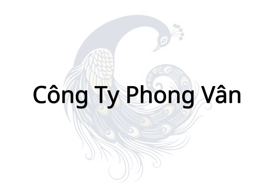 Công ty Phong Vân