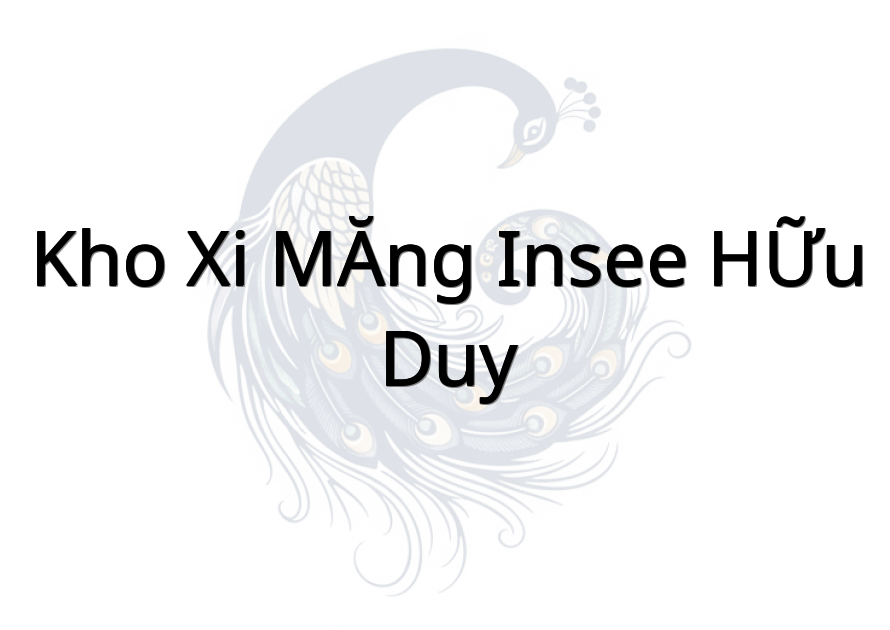 KHO XI MĂNG INSEE HỮU DUY