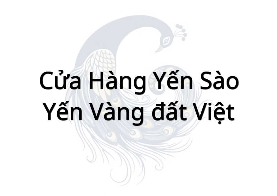 Cửa hàng yến sào yến vàng đất việt