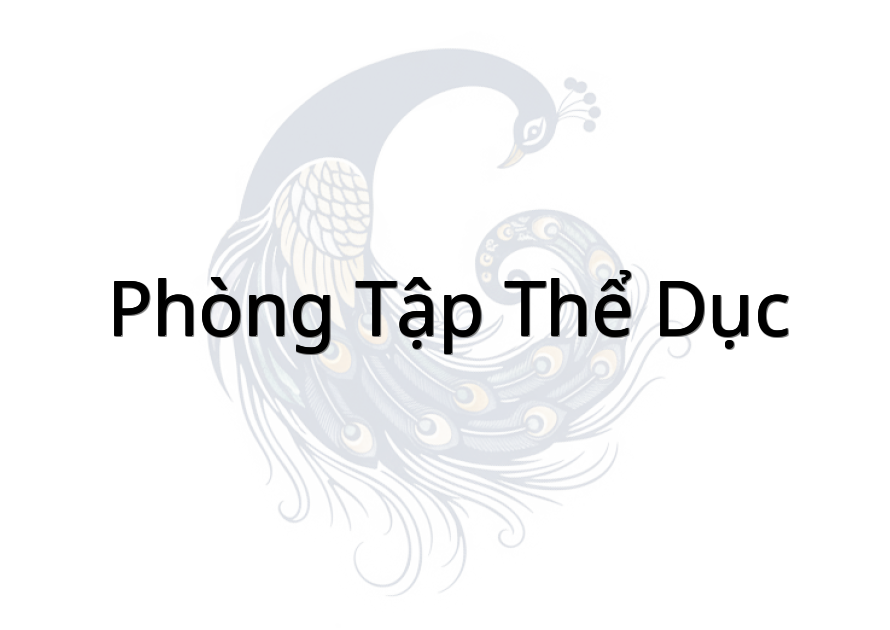 Phòng Tập Thể Dục