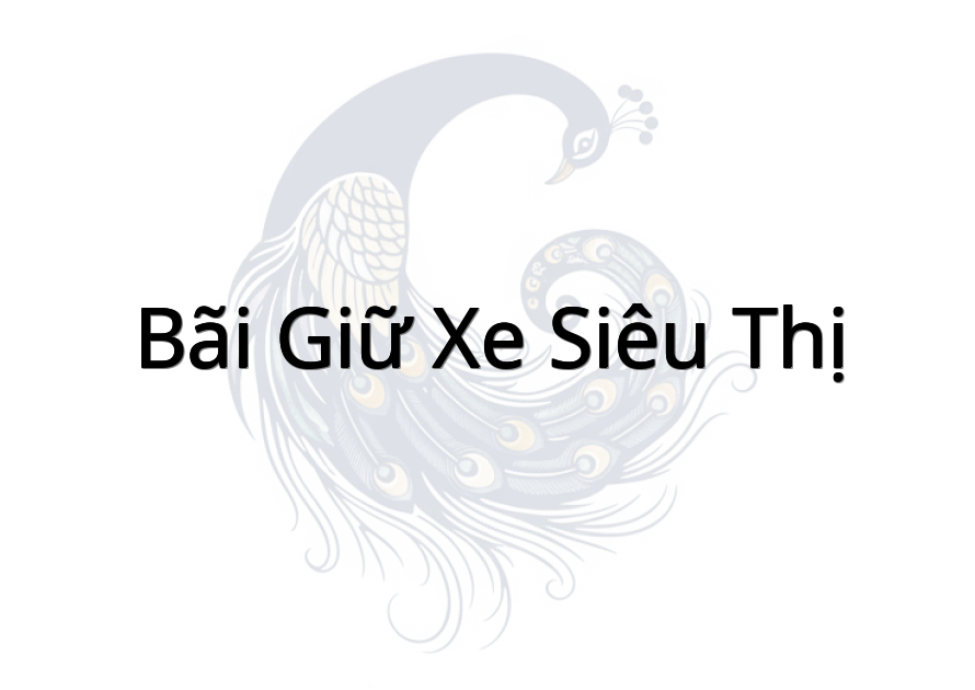 Bãi Giữ Xe Siêu Thị