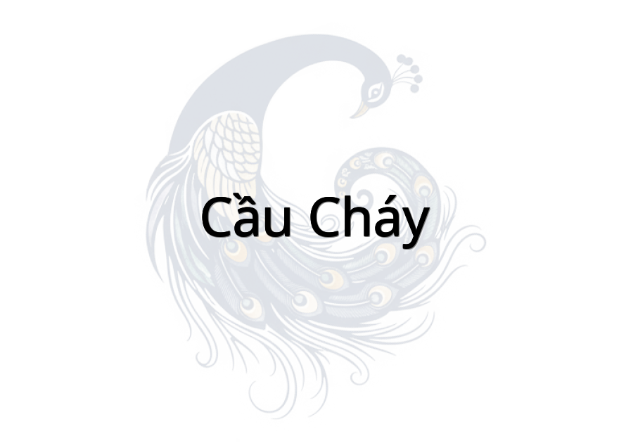 Cầu Cháy
