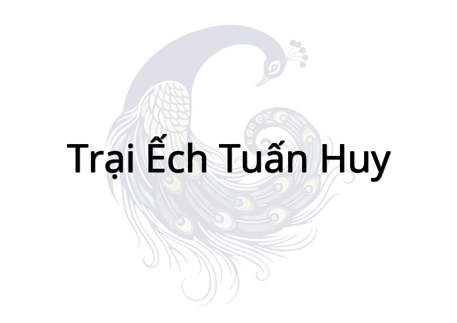 Trại Ếch Tuấn Huy