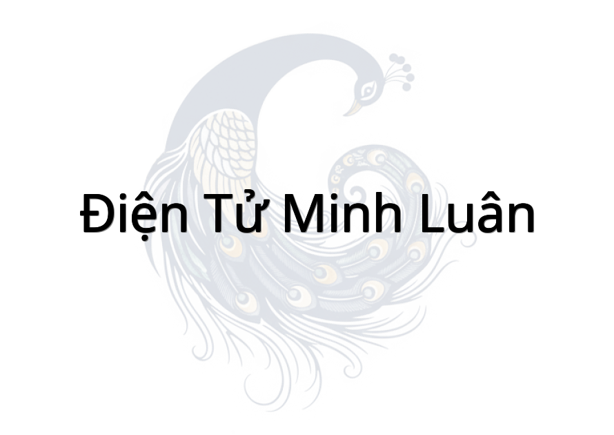 Điện tử Minh Luân