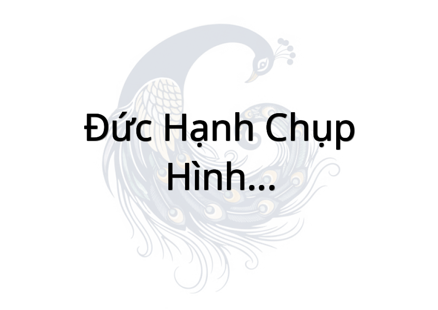 Đức Hạnh Chụp Hình - Quay Phim