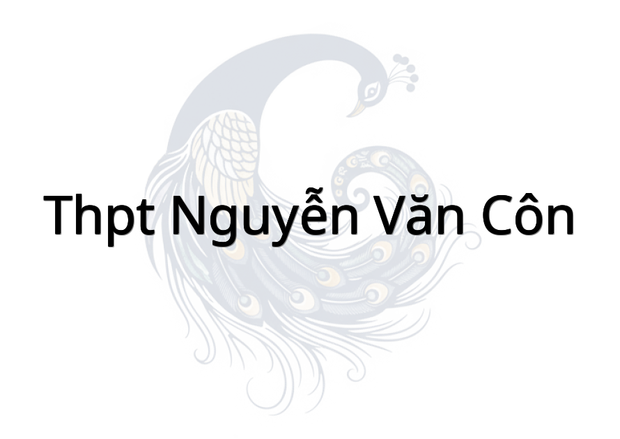 THPT Nguyễn Văn Côn