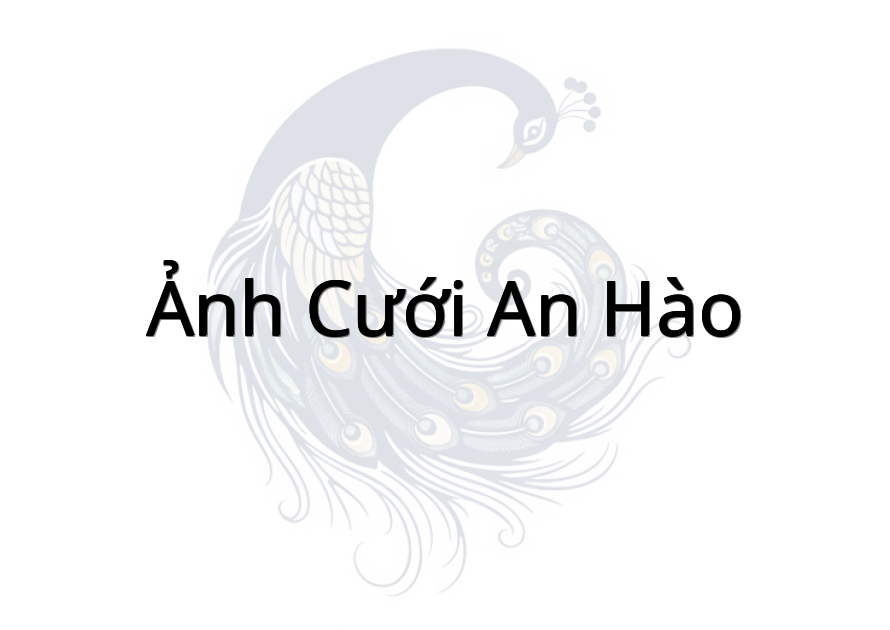 Ảnh Cưới An Hào