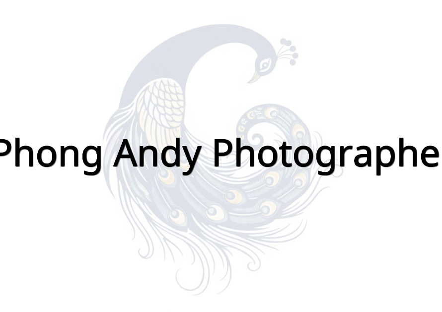 Phong Andy Photographer