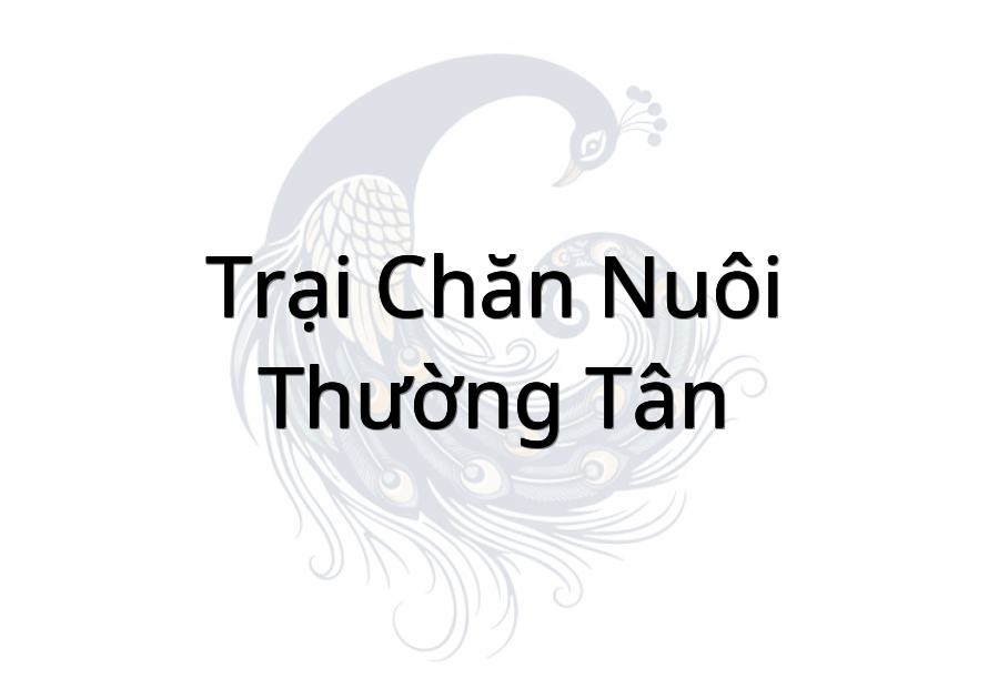 Trại Chăn Nuôi Thường Tân