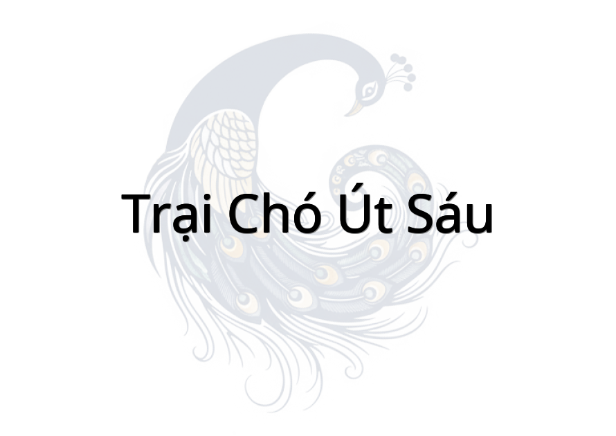 Trại Chó Út Sáu