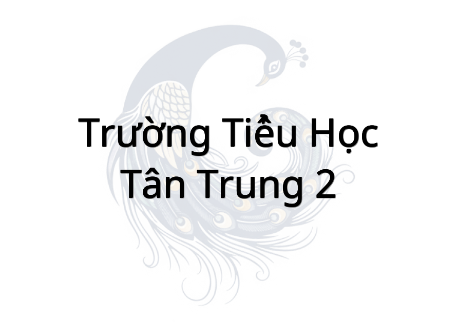 Trường Tiểu Học Tân Trung 2