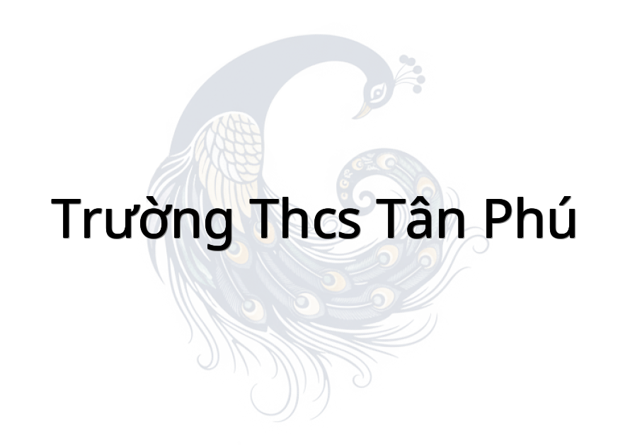 Trường THCS Tân Phú