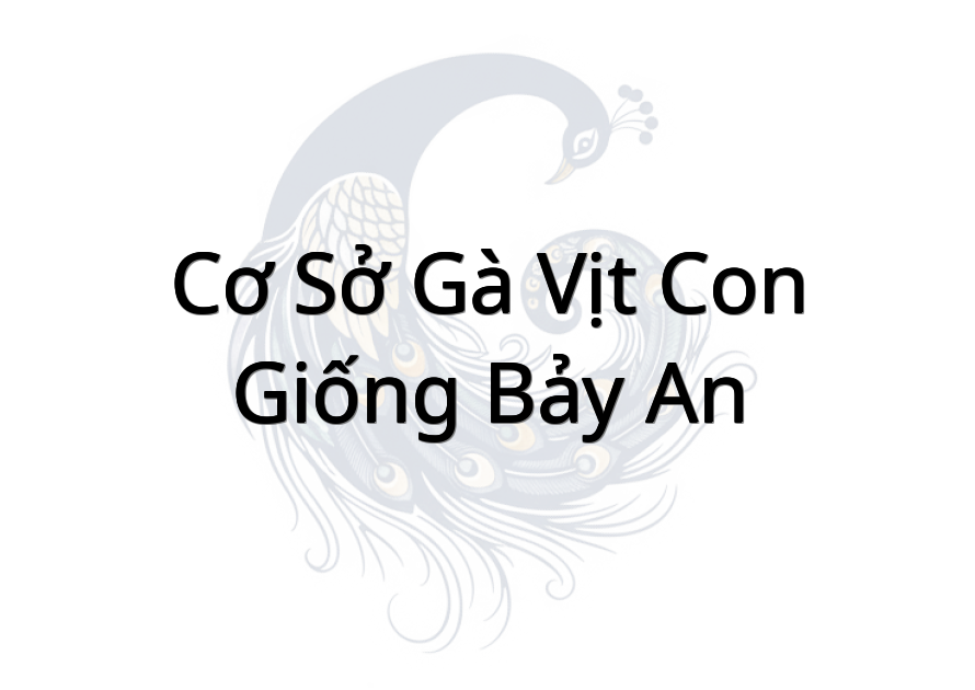 Cơ Sở Gà Vịt Con Giống Bảy An