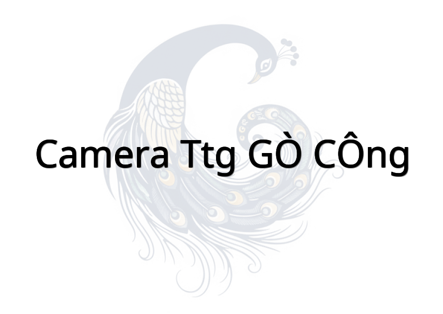 CAMERA TTG GÒ CÔNG