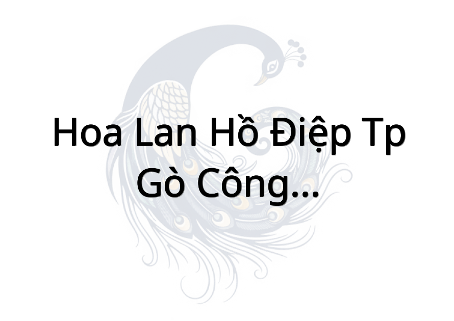 Hoa Lan Hồ Điệp TP Gò Công - Siin Store