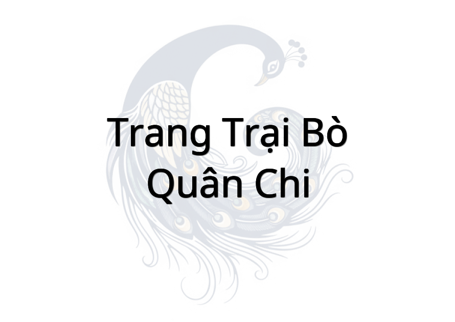 Trang Trại bò - Quân Chi