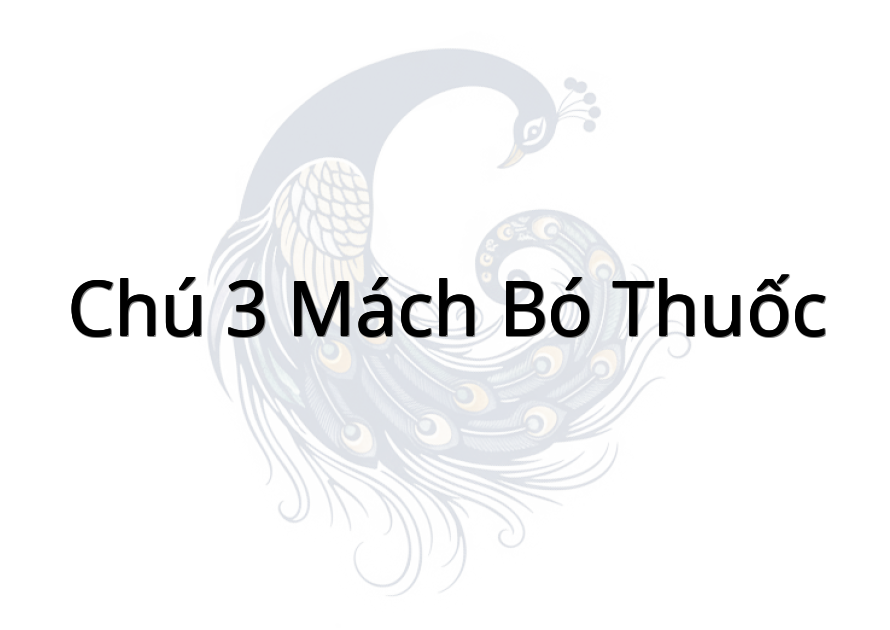Chú 3 Mách bó thuốc