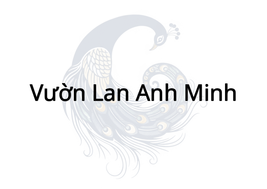 Vườn lan Anh Minh