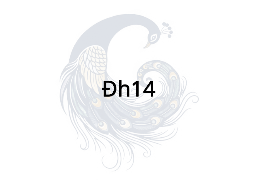 ĐH14