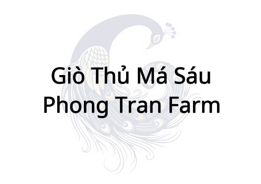 Giò thủ Má Sáu - Phong Tran Farm
