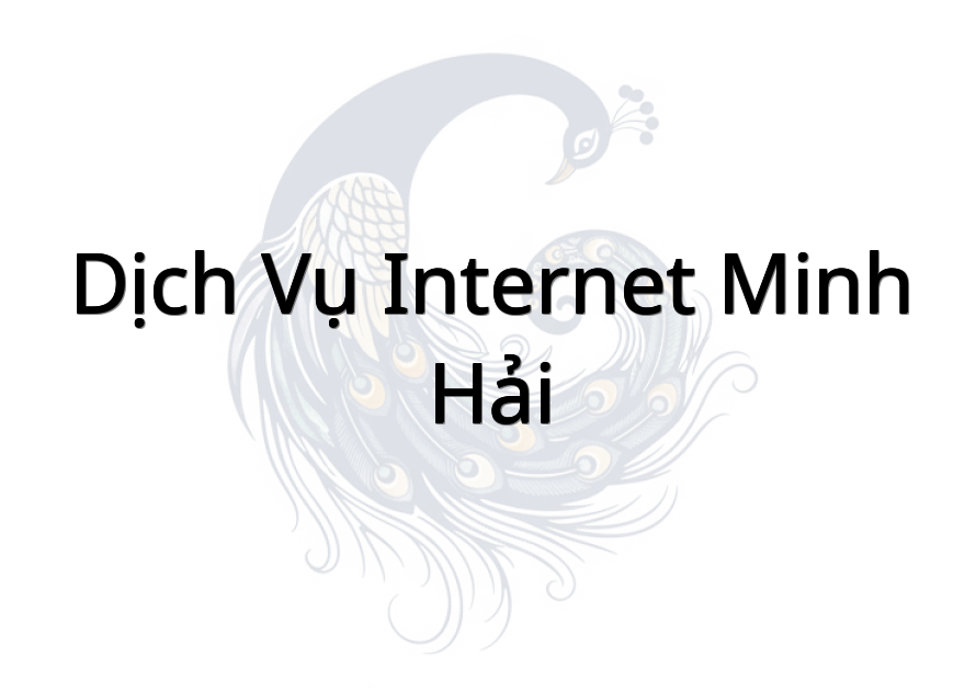 Dịch Vụ Internet Minh Hải