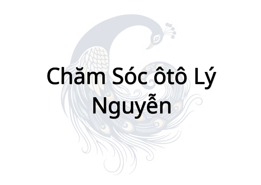 Chăm sóc ôtô Lý Nguyễn