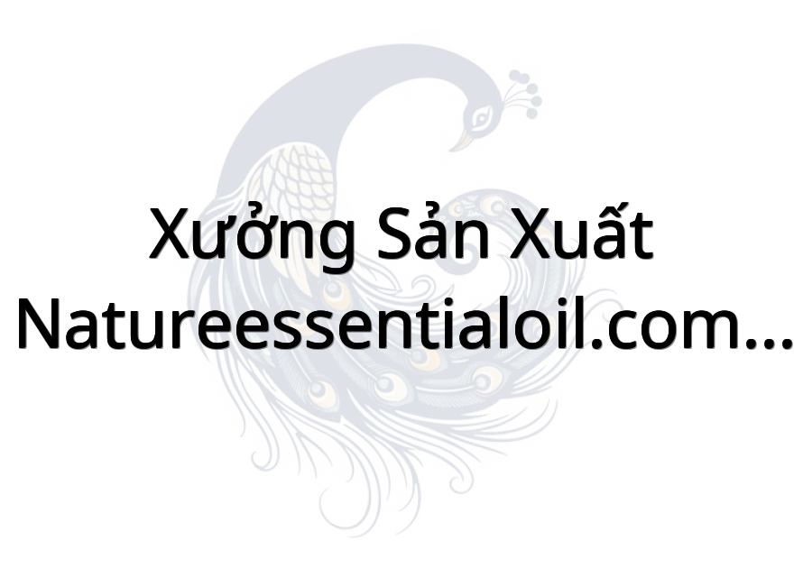 Xưởng sản xuất natureessentialoil.com cơ sở 2