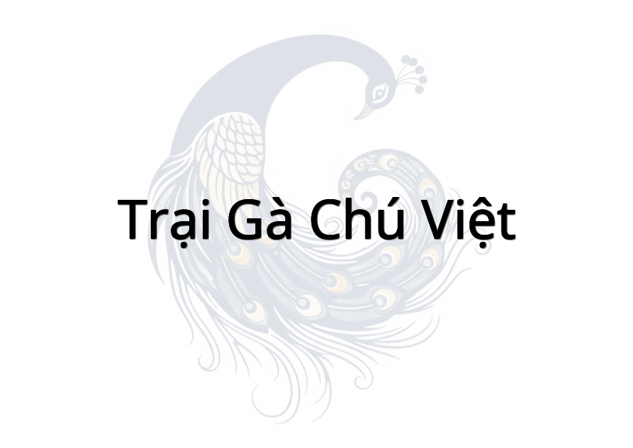 Trại gà chú Việt