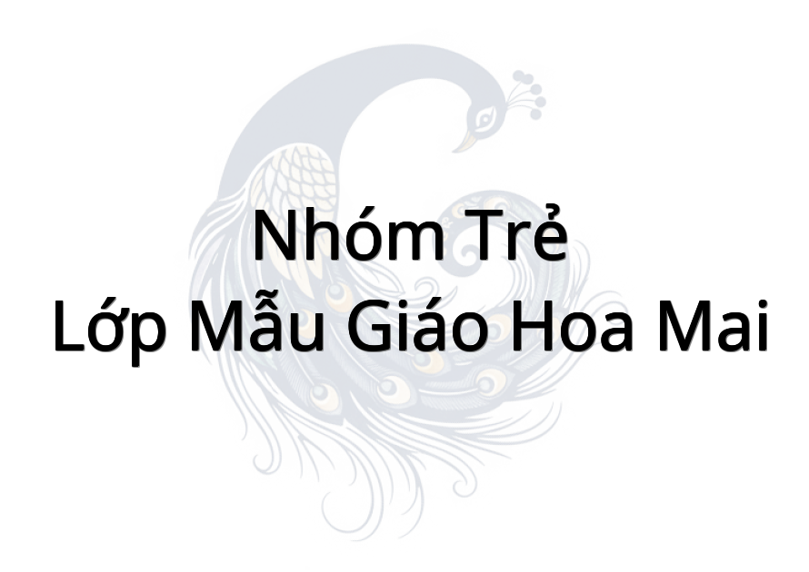 Nhóm Trẻ - Lớp Mẫu Giáo Hoa Mai